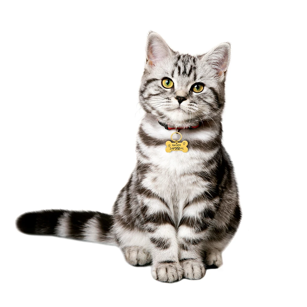 personalized dog id tag keychain engraved pet name address phone for cat puppy anti lost dog collar tag keyring pet accessories free global shipping