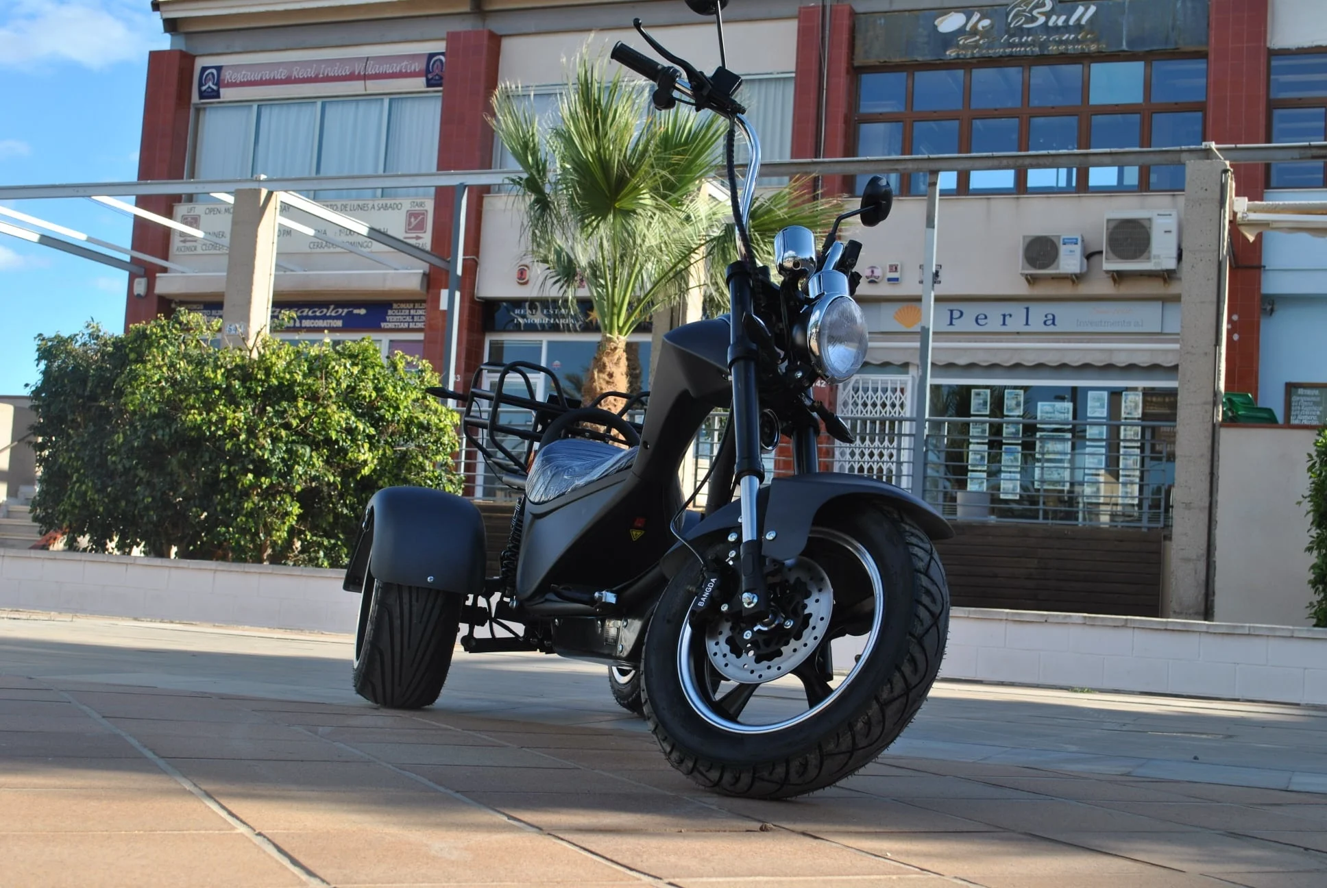 Трехколесный велосипед Citycoco для взрослых с большими шинами трехколесный