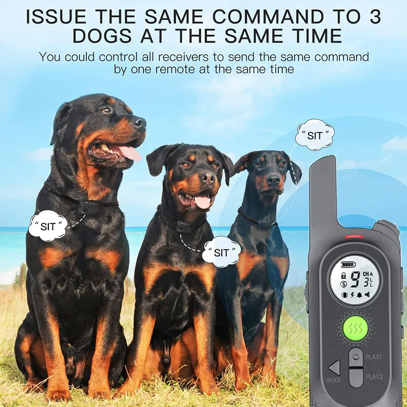 

Electric Dog Training Collar with Remote Voice Commands No Shock Collar for Dogs LCD Display Waterproof Rechargeable Pet Product