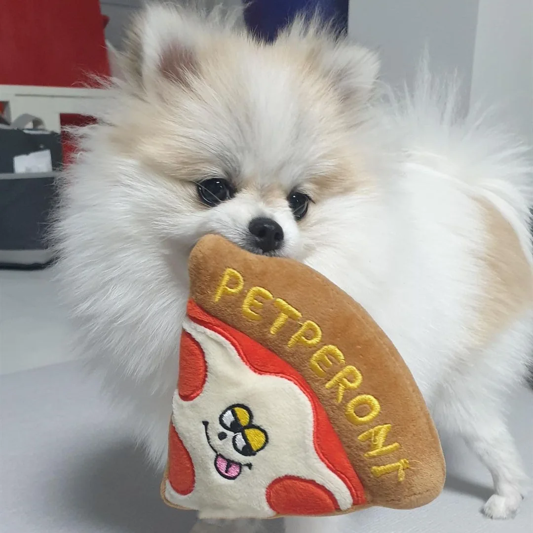 

Korean delicious simulation pizza toy voice cute pet BB called toy interactive pet voice toy