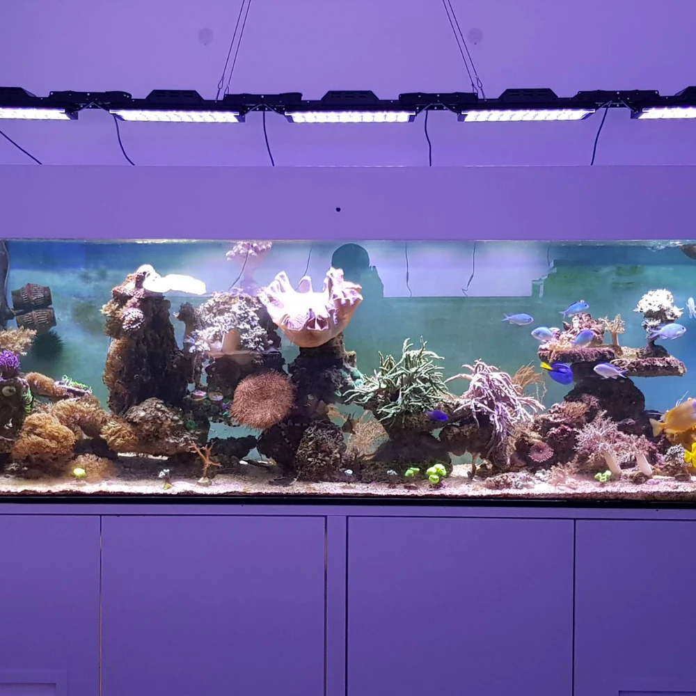 Попблум DSunY Светодиодная лампа для аквариума светодиодная подводный морская