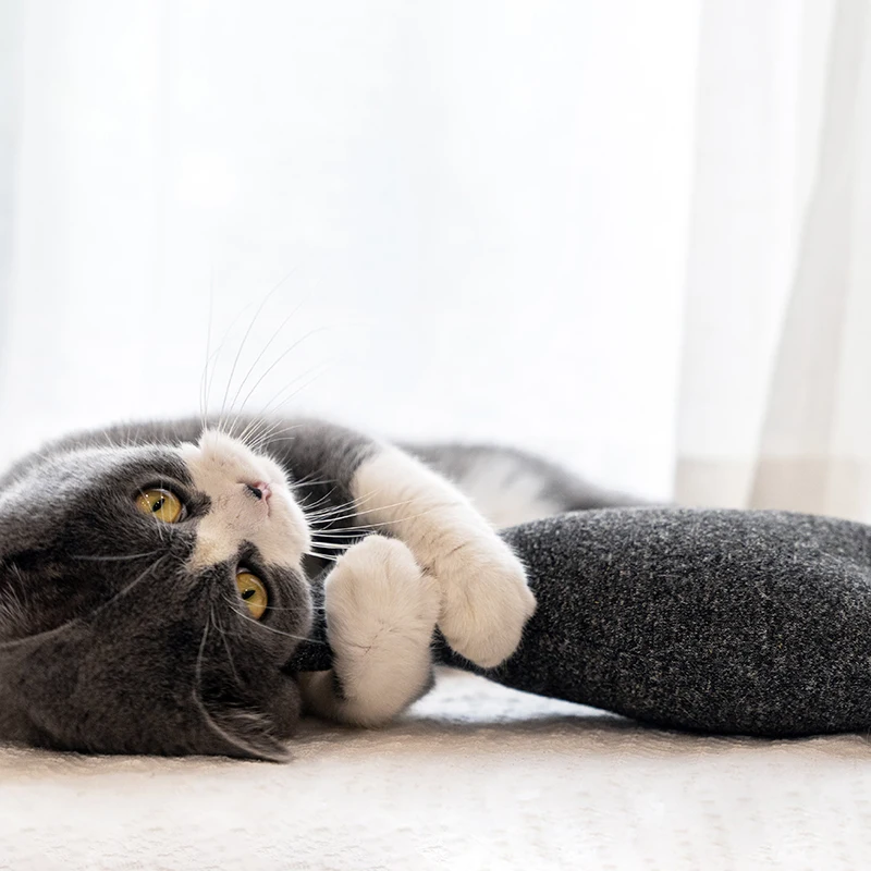 Кошка котенок Nip игрушка плюшевая Рыба игрушки для домашних животных