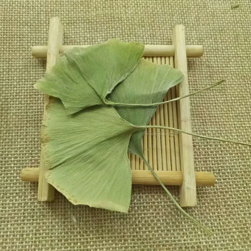 250 г листья гинкго билоба китайский чай зеленый травяной с зелеными листьями |