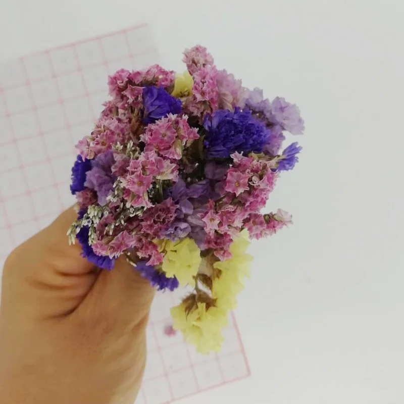 Засушенные цветы для украшений из смолы 5 г/пакет | Дом и сад