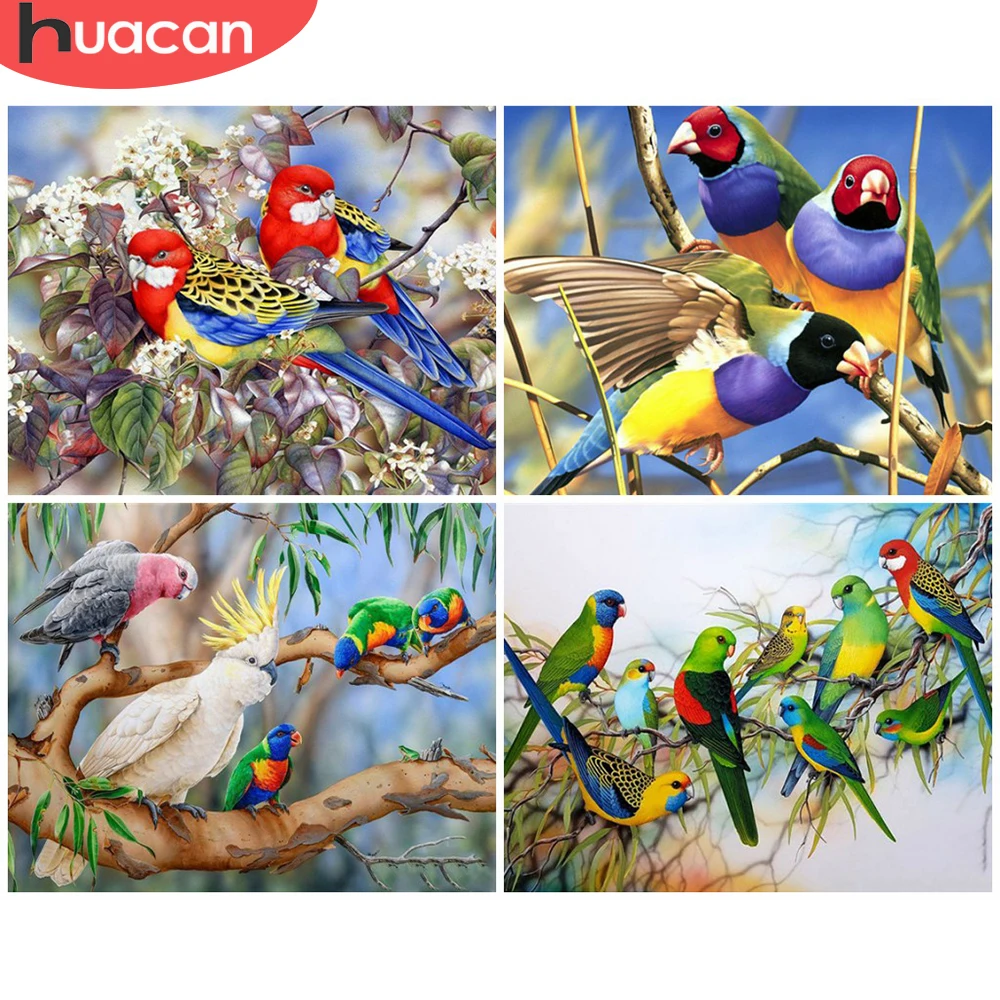

HUACAN Раскраска по номерам птица Животные комплекты, украшение для дома для взрослых картинки Раскраска по номерам попугай ручная роспись ис...
