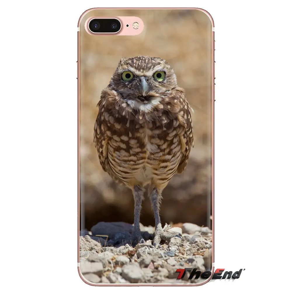 animals birds owl Trees wallpaper For Huawei Mate Honor 4C 5C 5X 6X 7 7A 7C 8 9 10 8C 8X 20 Lite Pro TPU Transparent Shell Cases |