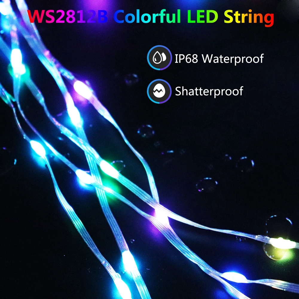 WS2812B Christmas RGB LED String Lights WS2812 Addressable Individually IC Dream Color LED Module USB Bluetooth Controller DC5V