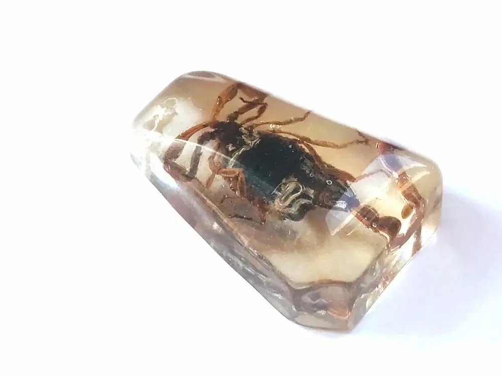 

12 pcs real scorpion king insect fashion keychain