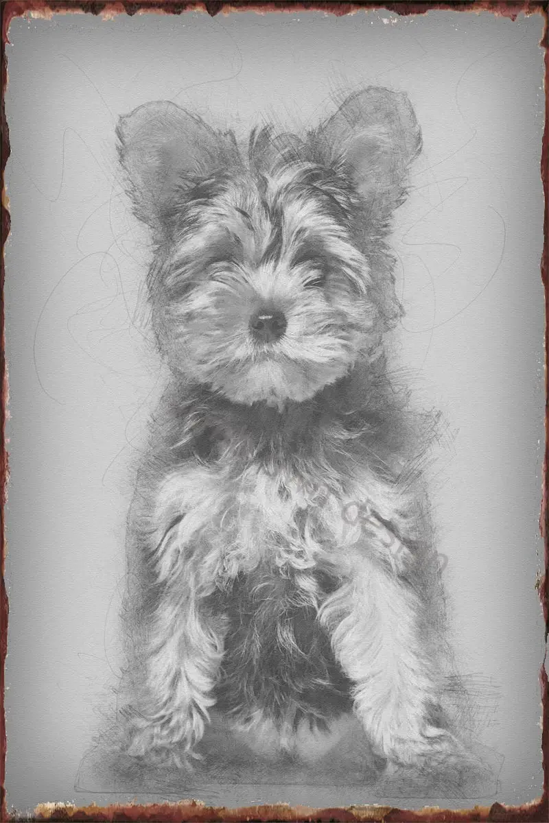 

Йоркширский терьер, щенок 3, Настенный декор, ретро, винтажный металлический знак, Жестяная Табличка для художественного оформления, паба, д...