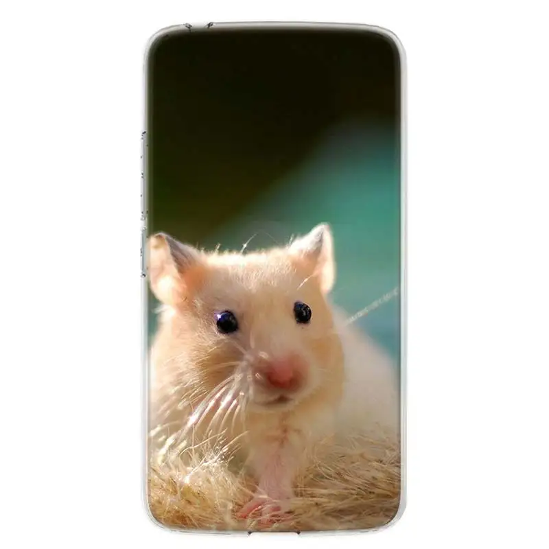 Чехол для телефона MOTO Motorola G8 E4 E5 E6 G7 G6 G5S Plus Play Power ONE Action мягкий силиконовый чехол |