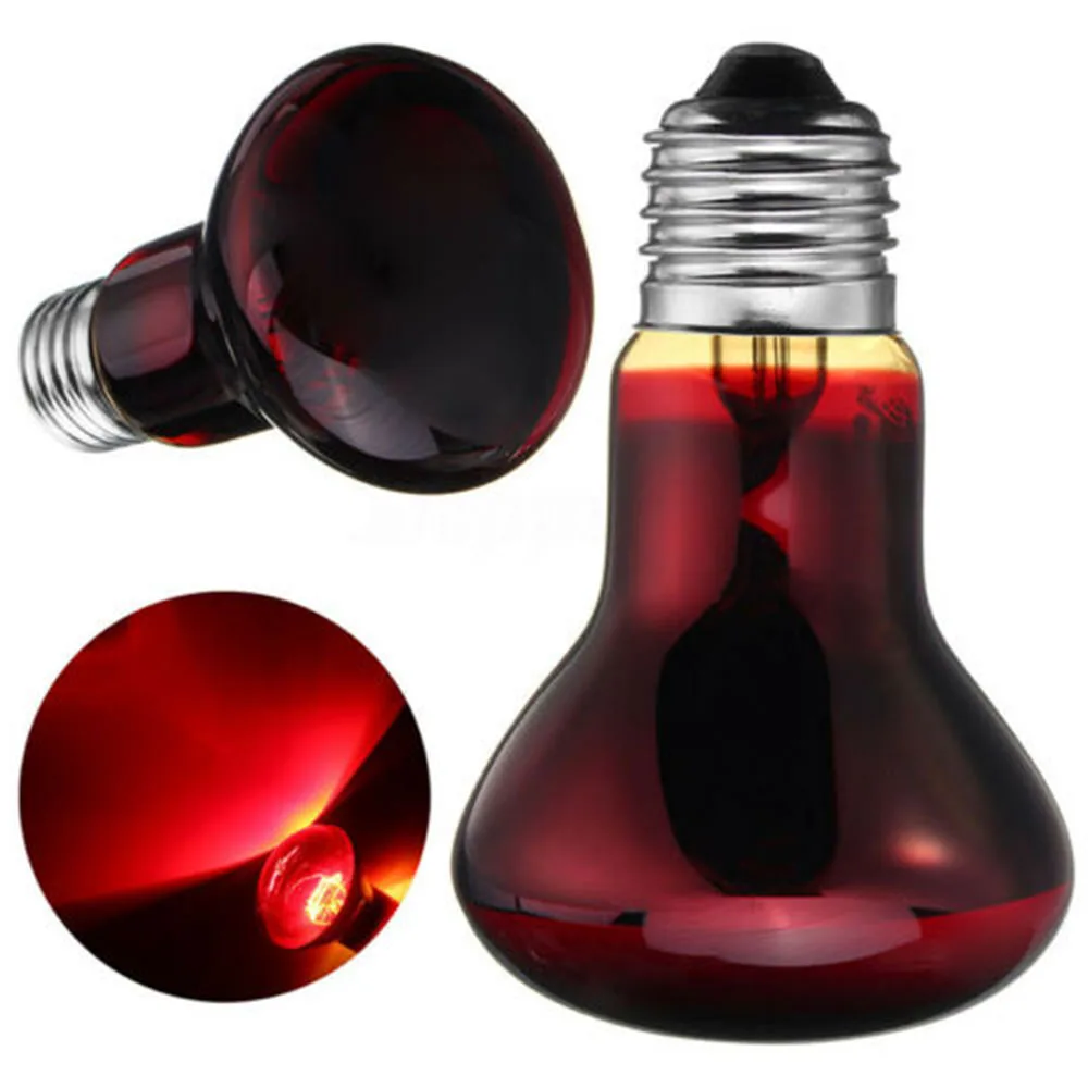 Нагревательная лампа для домашних животных дневная и Ночная амфибии змеи с