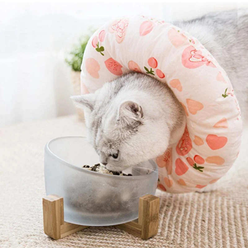 Ошейник для собак и кошек из эластичного хлопка | Дом сад