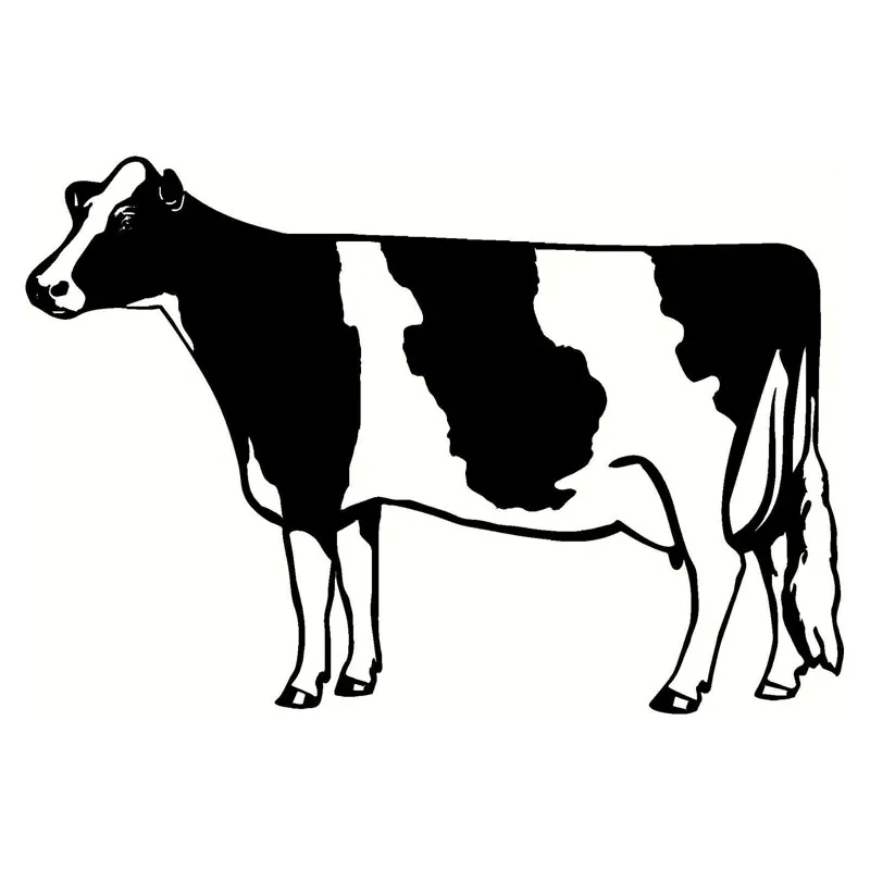 

Dawasaru Amusing Car Styling Milch Cow Vinyl Car Stickers Farm Cattle Decorative Decal Black/Silver 18cm*12cm