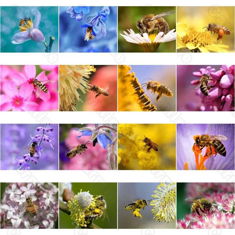 

Diamond Painting Bee Picking Nectar Animal Square Diamond Round Diamond Decoration Customizable Wall Art Decoration Frameless