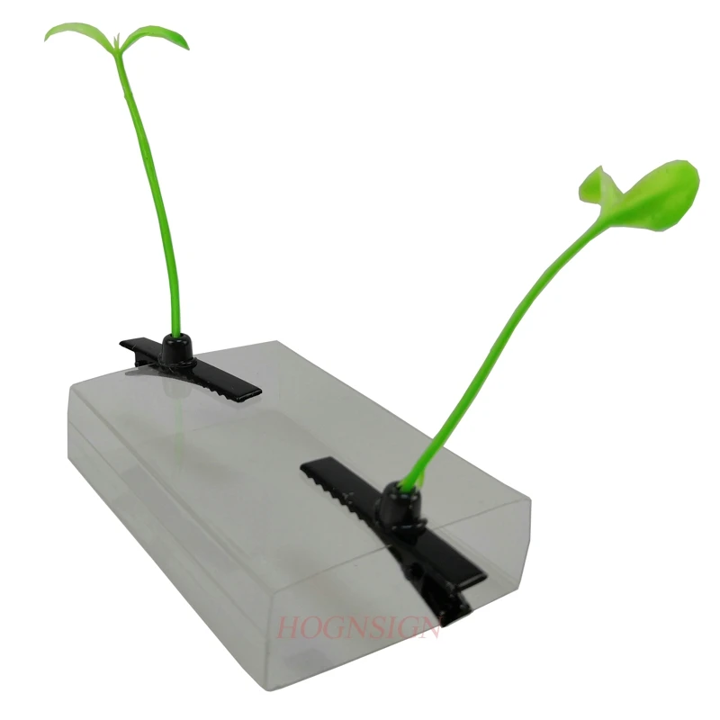 2 шт. ростки фасоли заколка для волос растения шоу МОС артефакт небольшой Miaofa