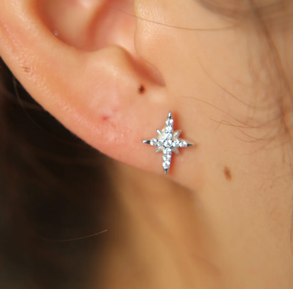 Изящные серьги гвоздики northstar czc 925 пробы серебряные yong для девочек подарок