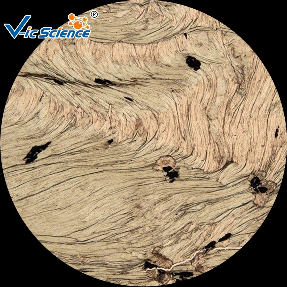 

Mineral and rock thin slides set for Medical and Teaching expriments (100pcs）