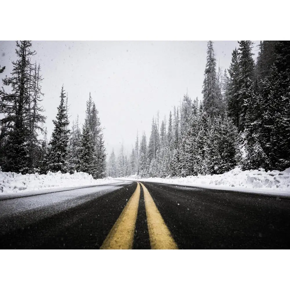 

Vinyl Custom Photography Backdrops Snow Winter Theme Photography Background YA20721-01