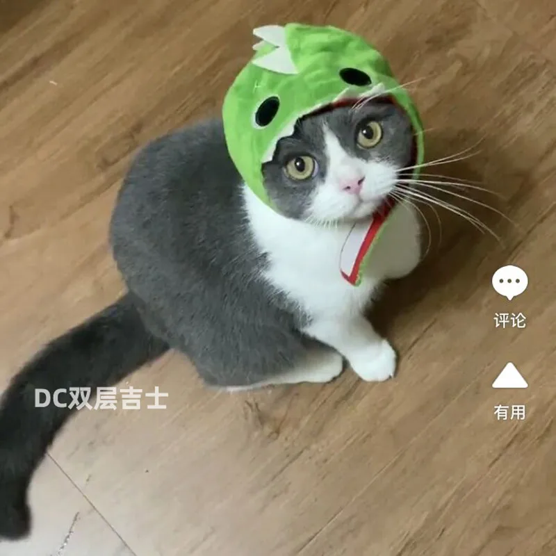 

Big Dinosaur Pet Head Decoration Dog Hats Baseball Cap Outdoor Accessories Pet Dog Puppy Sports Sun Hats Travel Helmet for Cats