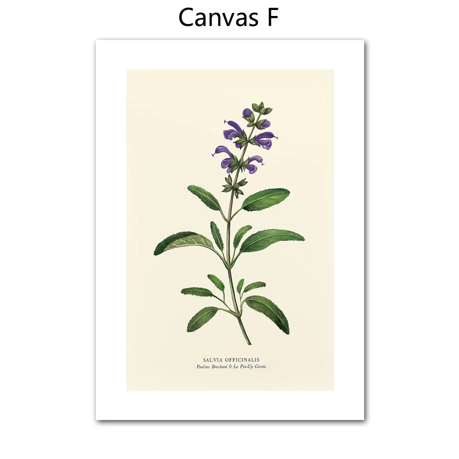 

Картина на холсте Gotinkart "Одуванчик Лаванда Розмарин"