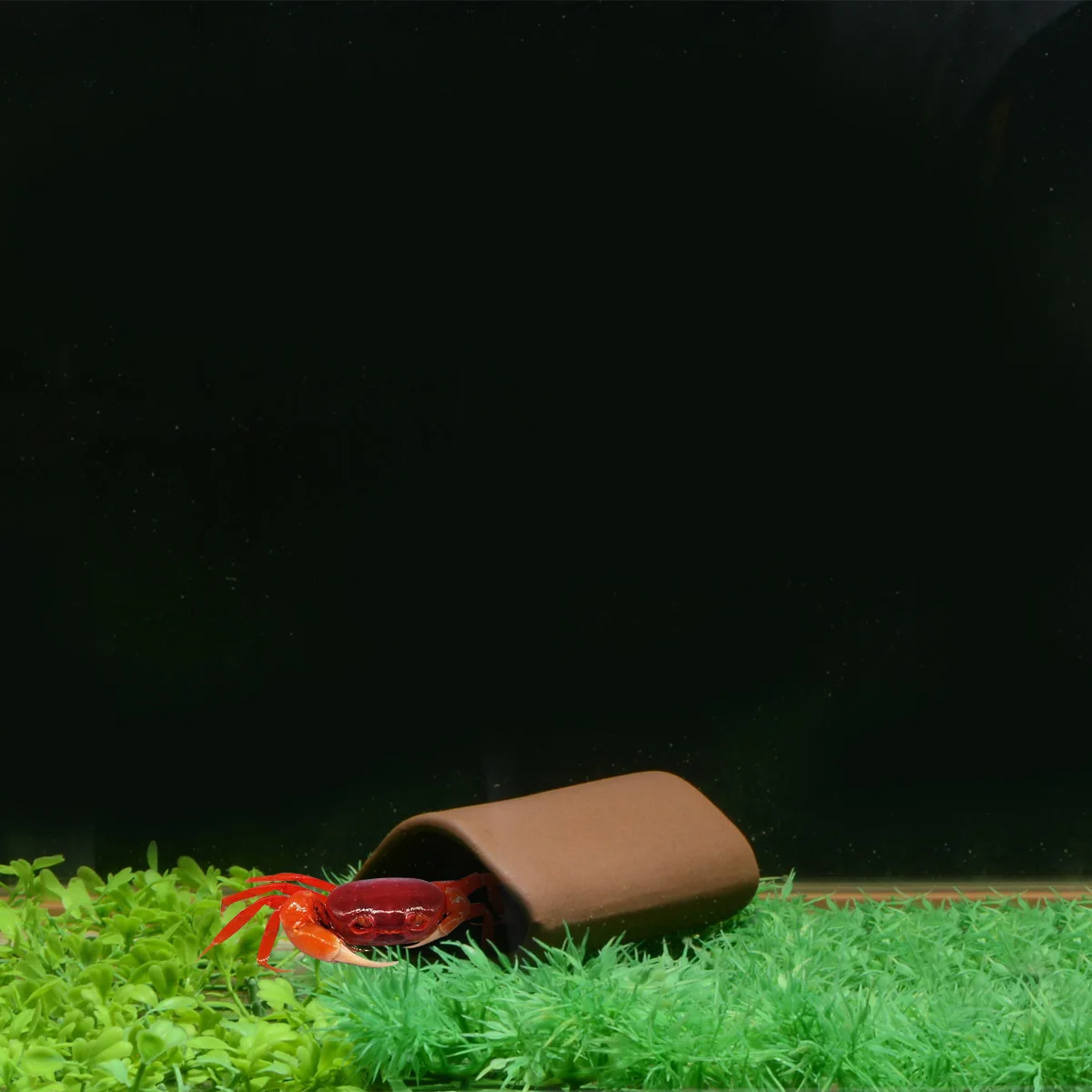 Декор для аквариума Saim большая треугольная рыба Репродукция креветок