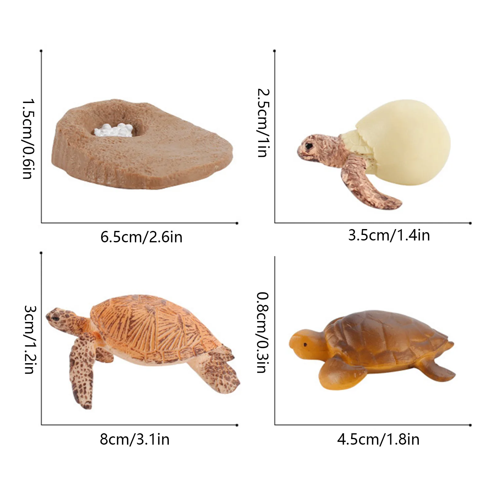 

4Pcs Simulation Sea Turtle Figure Tortoise Growth Cycle Brood To Mature Period Life Cognition Model Early Educational Toy New