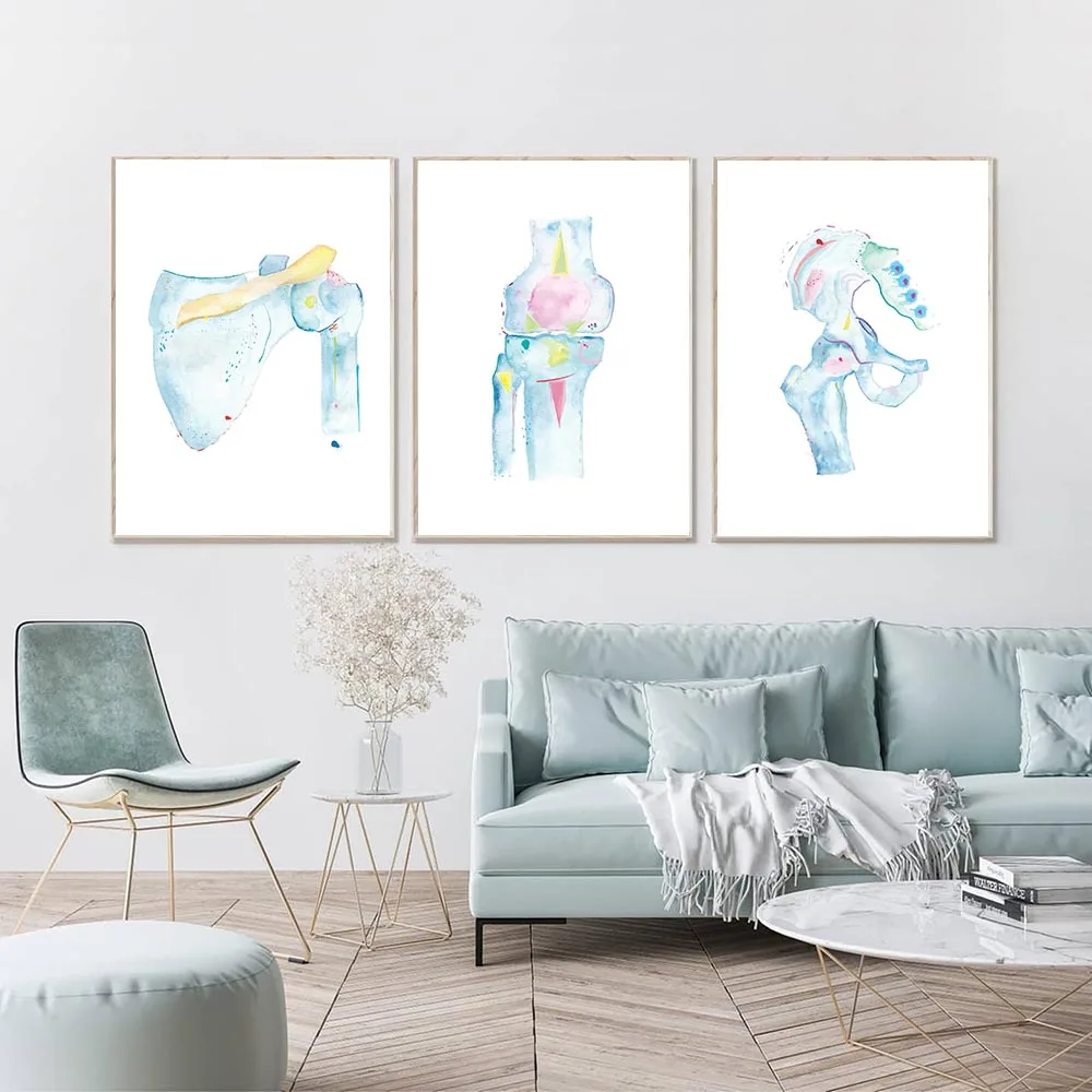 

Human Organ Anatomy Wall Art Canvas Print Watercolor Shoulder Hip Knee Painting Vertebral Column Poster Medical Art Gift Decor