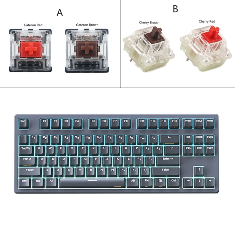HEXCORE-ANNE Classic D87 RGB NKRO     Gateron Cherry Switch ,   80%  