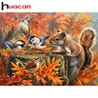 Алмазная 5D живопись Huacan, полный комплект белка, птица, мозаика, вышивка с животными, декоративное настенное украшение