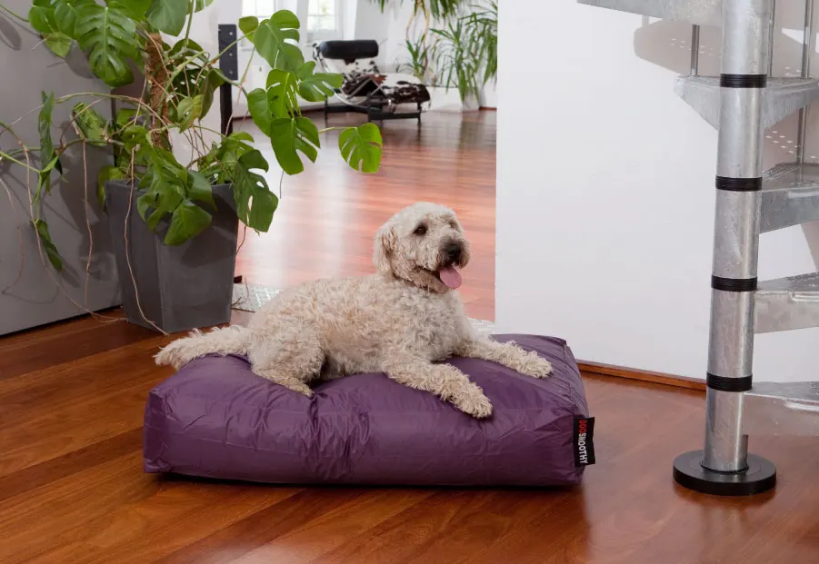 Красочные кровати для собак горячая Распродажа Лежанка домашних животных