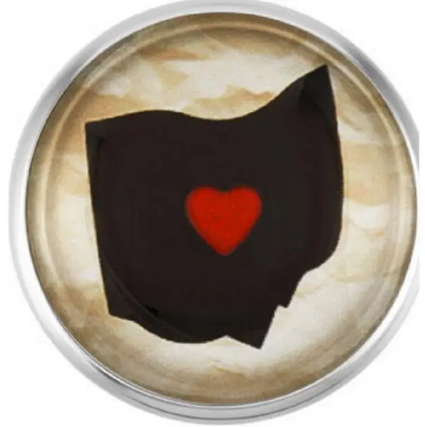 20 шт./партия декоративные пуговицы с изображением карты Огайо