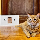 Нетоксичный ПЭТ след кота собаки Щенячий печатные игрушки отпечатки рук младенцев на штемпельная подушечка не прикасаться кожи бескраскового новорожденных сувенир для домашних животных