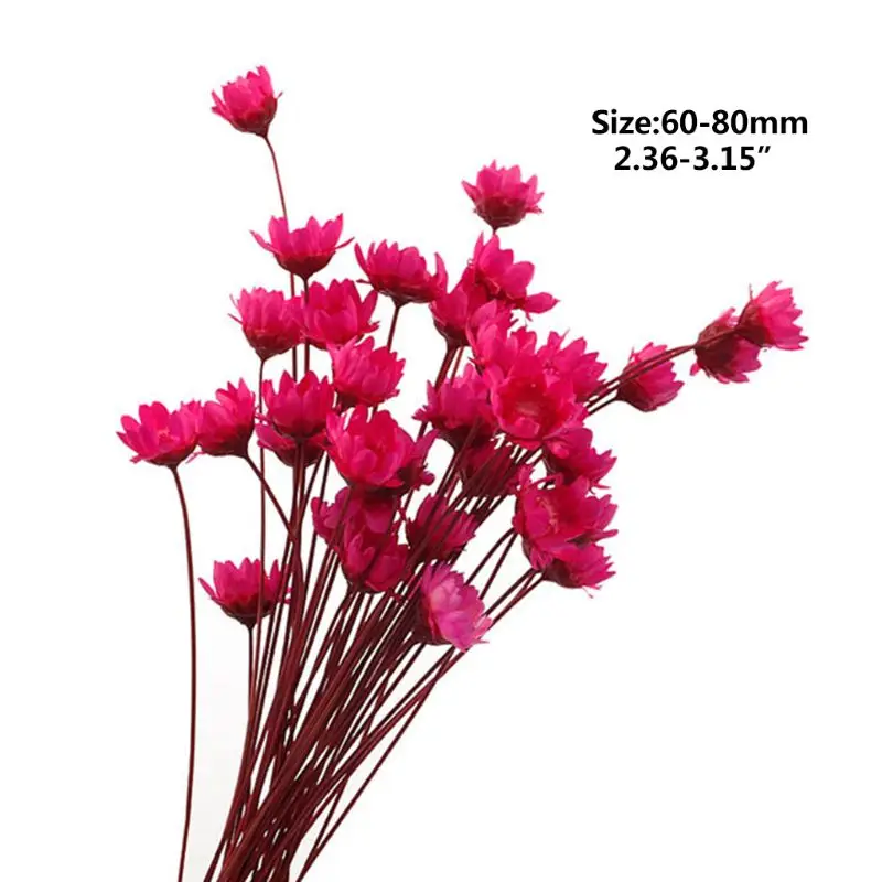 12 шт./упак. кристальная эпоксидная форма УФ клей мини браслет с сушеными