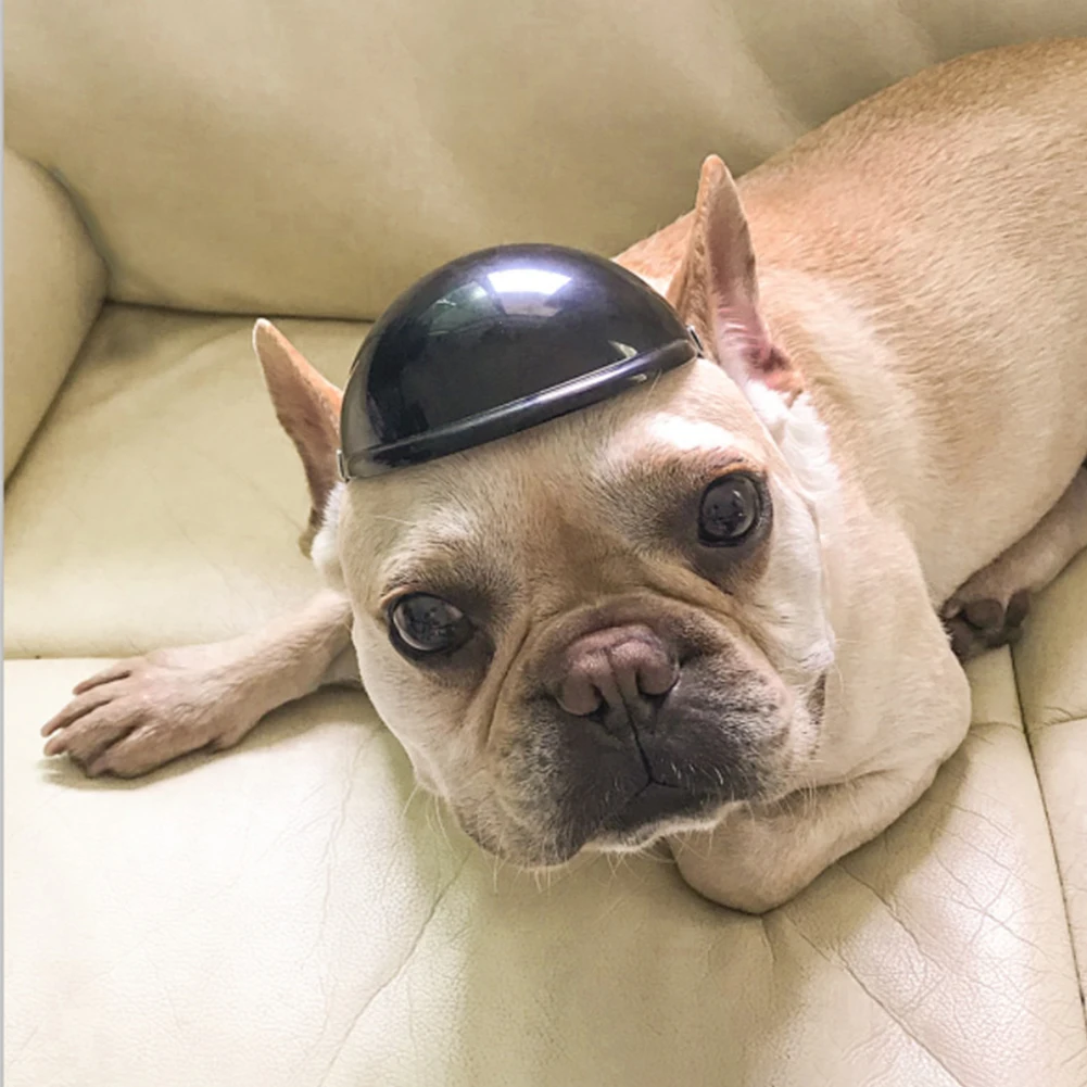 Мотоциклетный шлем для домашних животных кепка собак костюм косплея с защитной