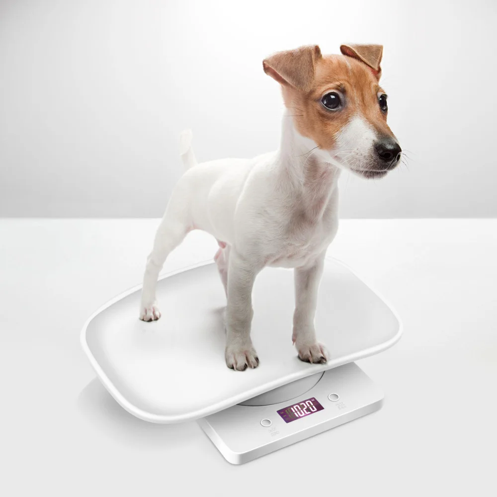 

UEETEK 1PC 10KG Handheld Portable Miniature Precision Baby Pet Scale Measure Tool for Infant Baby Pet(without Battery)