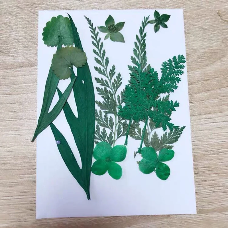 Прессованный цветок цветочный материал для самостоятельной ароматерапии свечи