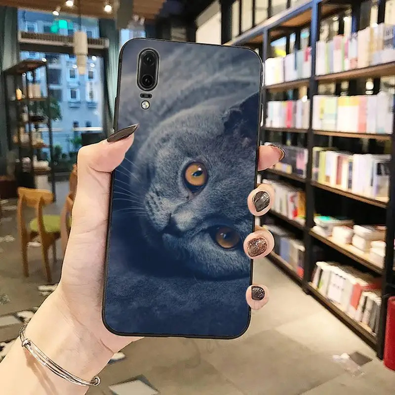 

cat animal Webbedepp British Shorthair Phone Case For Huawei honor Mate P 10 20 30 40 Pro 10i 9 10 20 8 x Lite