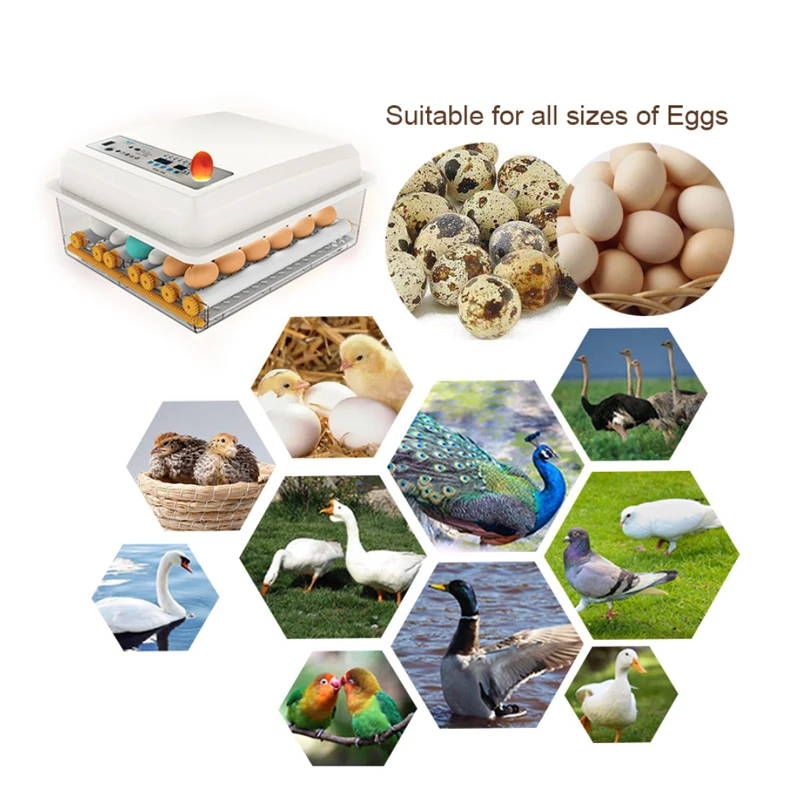 Инкубатор для яиц Брудер топор птица перепелиное яйцо инкубатор цыплят двойной