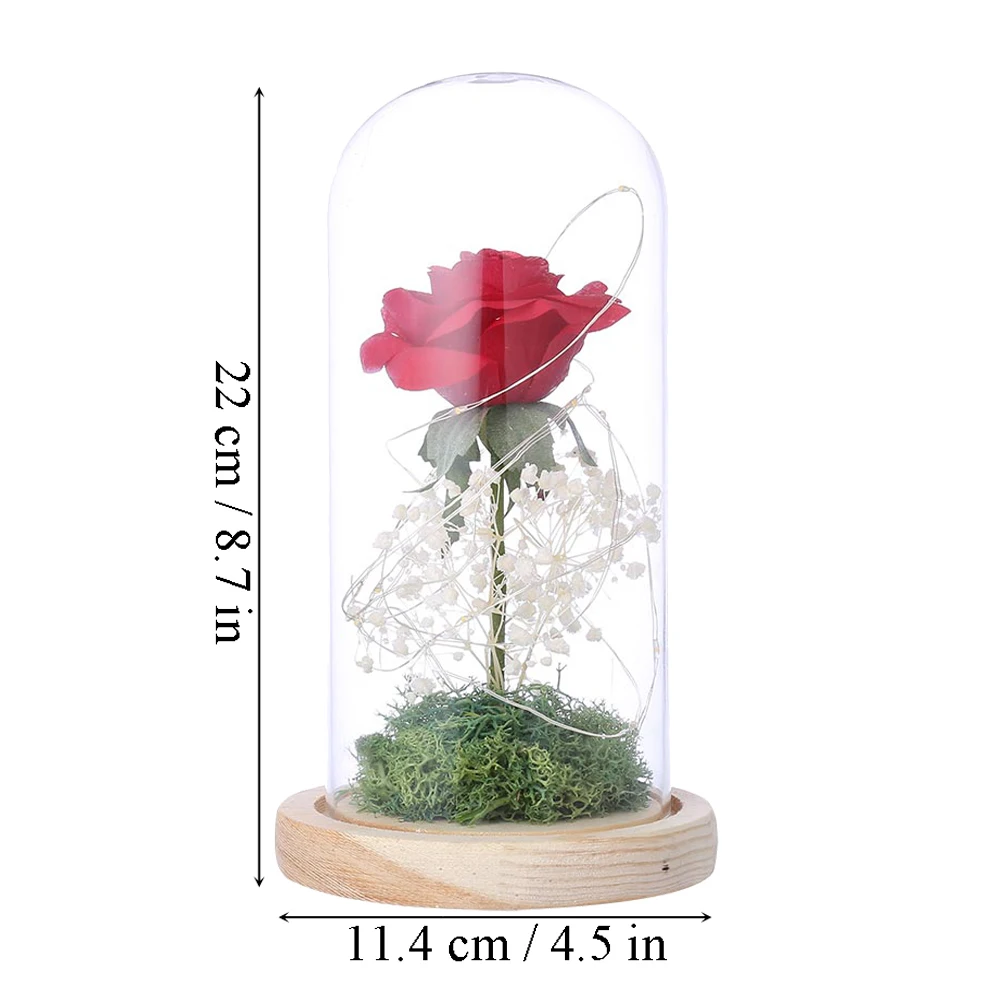 

Rose Flower in Glass Dome with Lights Enchanted Glass Rose Best Gifts For Women Mothers Day Valentine's Day Wedding Anniversary
