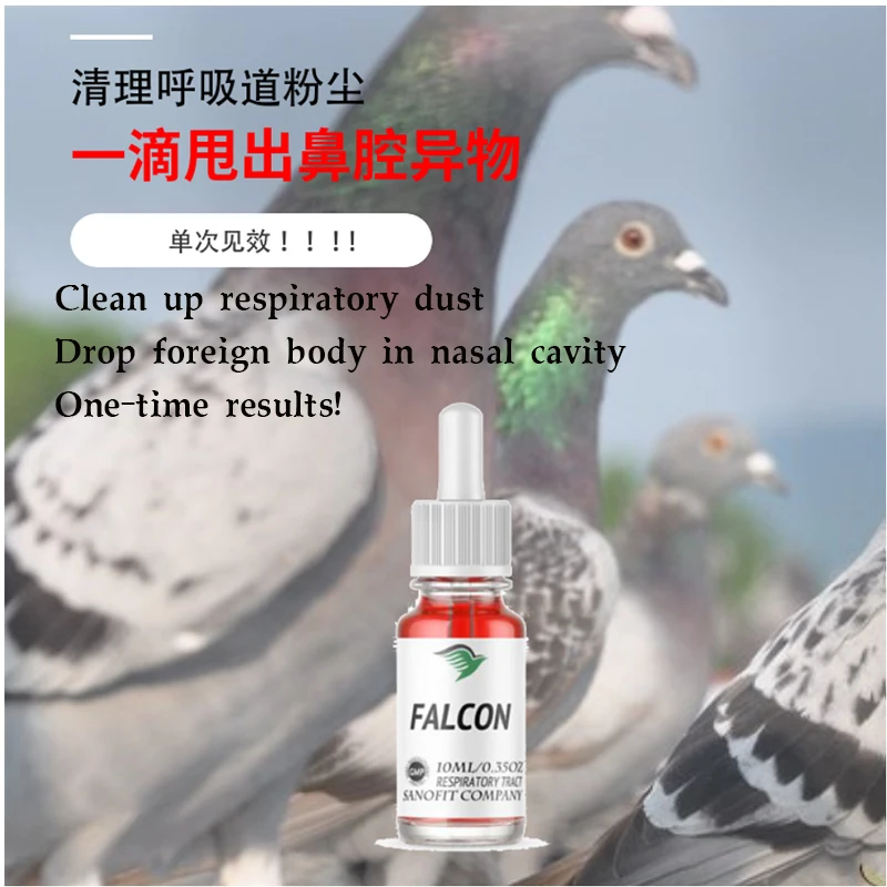 Pigeon Removal of foreign bodies in the respiratory tract Homing pigeon Racing pigeon Respiratory dust removal michael abramson evidence based respiratory medicine