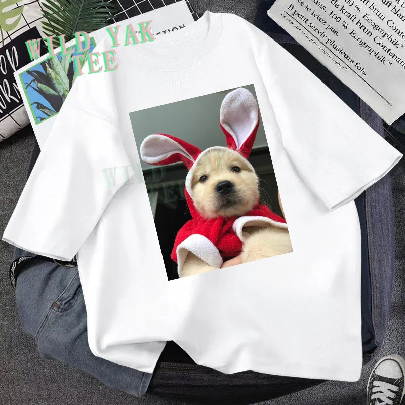 

Aesthetic Cats Boys and Girls T-shirt Summer Short Sleeve Casual Fashion Kawaii Loose T-shirt Women's Top Graphic T Shirts 2021