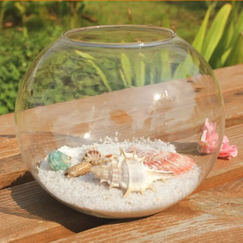 8 шт./упак. Диаметр = 20 см большой Размеры плоской подошве открытый носок Стекло