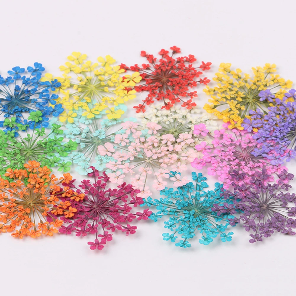 12/30 шт. сухие растения для художественного оформления ногтей ручная работа