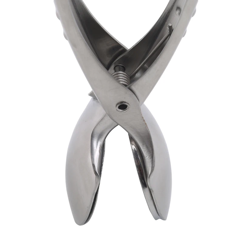 Chestnut Opener Peeling Tool High Quality Stainless Steel Clip Openers Sheller Kitchen | Дом и сад