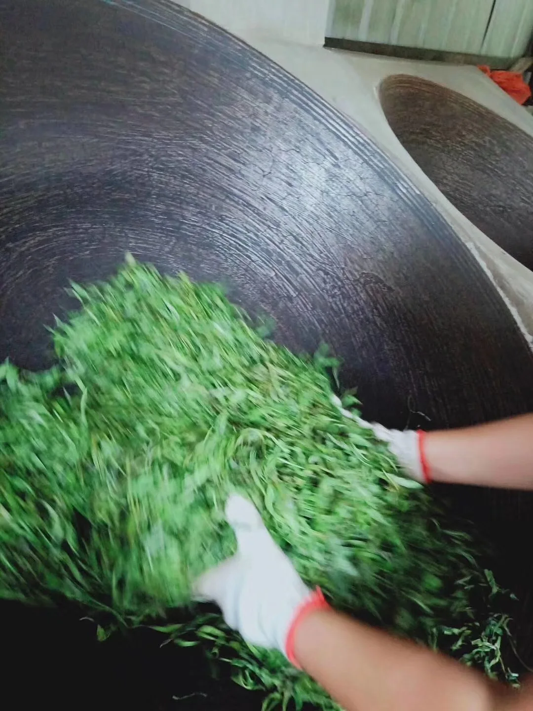 Yunnan чай пуэр приготовленный чай торт чай Yunnan Qizicai чай приготовленный чай торт 357 г торт