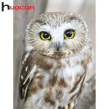 Huacan алмазная вышивка распродажа сова 5д Алмазная мозаика картина