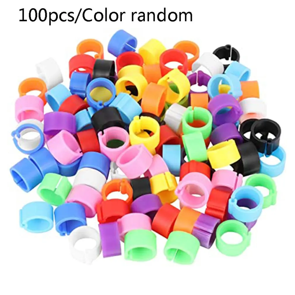 100 Pcs Multicolor Pigeon Foot Ring Pigeons Rings 8mm Bayonet Identification Ring Opening Pigeon Ring Pigeon Supplies
