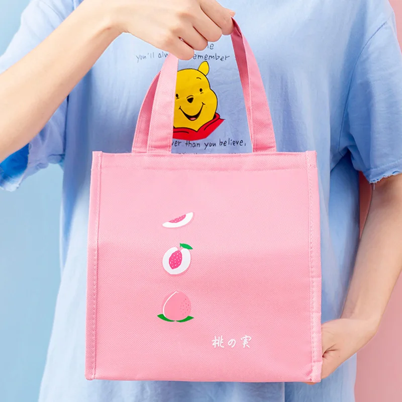 

Portable Food Fresh Lunch Bag Waterproof Thermal Insulated Snack Picnic Box Carry Tote Storage Bag Travel Lunch Food Pouch