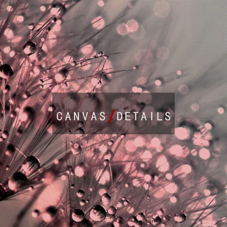 Плакат с одуванчиком росы планшетом Картина на холсте Цветы настенное искусство