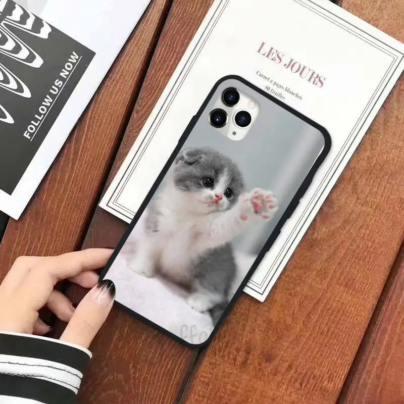 

cat cute lovely animal Phone Case for iPhone 11 12 mini pro XS MAX 8 7 6 6S Plus X 5S SE 2020 XR luxury shell coque